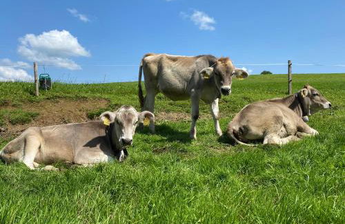 Ferienwohnung Hochgratglück - Foto 23