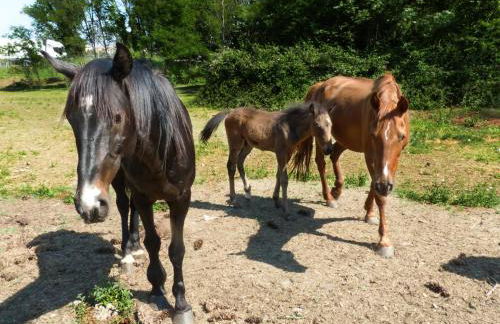 Agriturismo Dolce Luna - Foto 64