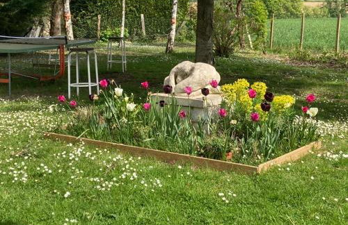 La Gentillere “Ancien Ermitage”PNR du Perche 3 * - Foto 32