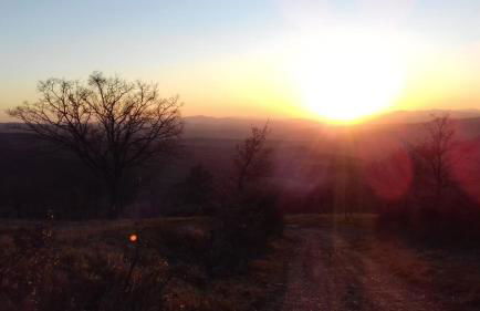 La Casa del susino - Foto 17