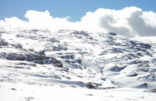 Casa Ribeiro - Foto 20