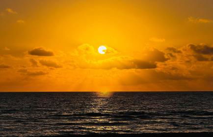 Oceanfront Luxury Miami Escape Pool&Gym - Foto 41