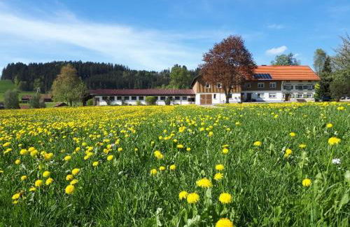 Ferienhaus Rasch - Foto 25