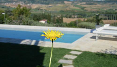 Casa Magnolia - Foto 2