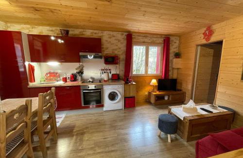 Superbe T3 neuf en bord de rivière près d'Annecy - Photo 4