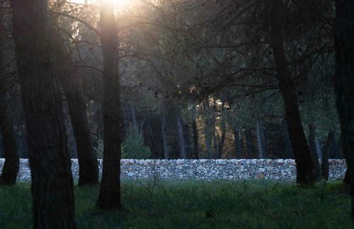 DONNAPAOLA MODERN FARM - Foto 57