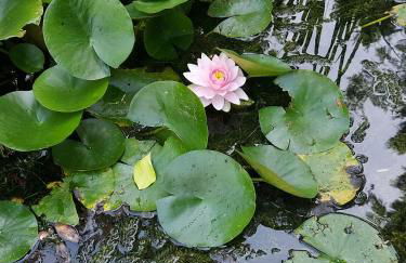 La Forge, Lieu des Chevilloux - Foto 57