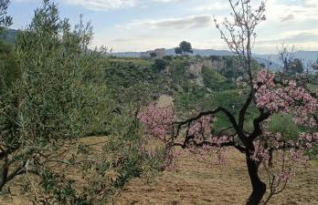 Rifugio Contemporaneo - Foto 31