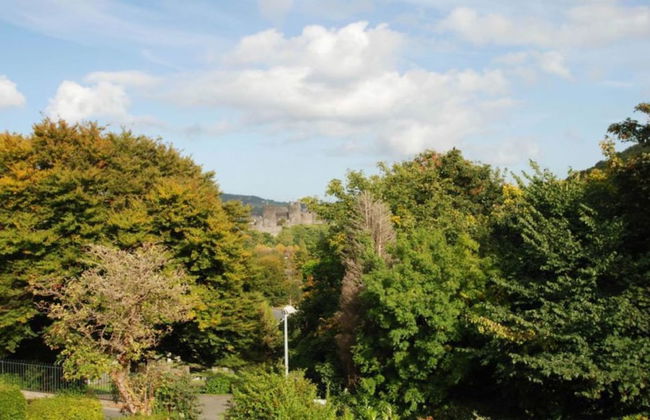 Bron y Graig - Photo 19