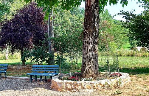 AGRITURISMO AZIENDA AGRICOLA FERRARI M.RITA - Photo 15