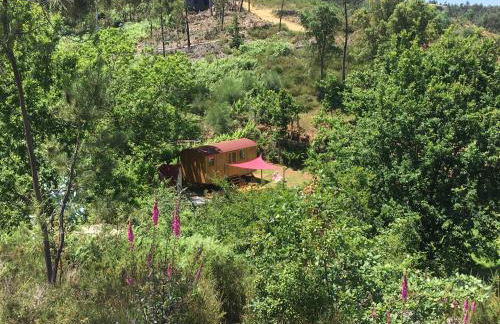 Rosa the Cosy Cabin - Gypsy Wagon - Shepherds Hut, RIVER VIEWS Off-grid eco living - Foto 36