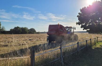 Country house for animals and nature lovers - Photo 18