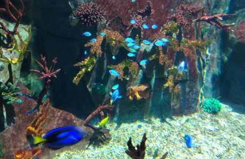 Beachfront apartment - Foto 23