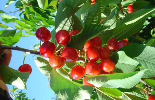 Casa Rural Casa Puntes - Photo 1