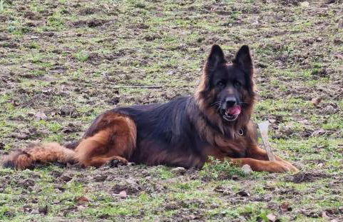 Casa Fernando Casquinha - Foto 25