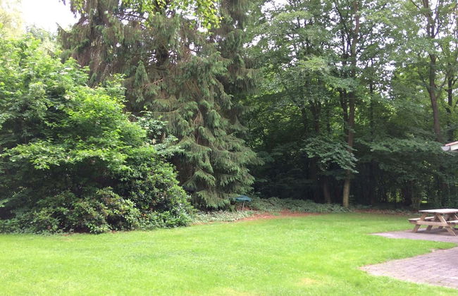 Atmospheric Bungalow in Exloo With Bicycles Available - Foto 21