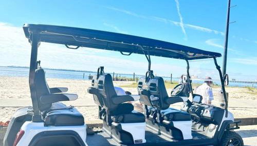 Cute and Cozy Comfy Birds Junior Cottage - 1 mile to Dwntn Ocean Springs, near Beach with Golf Cart - Foto 3