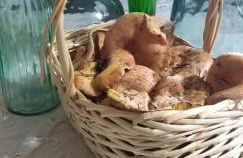 Casa rural los 7 pinos de Gredos - Foto 71