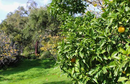 La Ermita by SIERRA VIVA - Foto 17