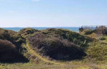 T2 cozy face dunes et océan - Thalasso et golf - Foto 42