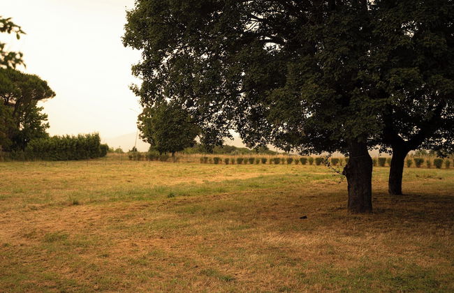 THE MONNA LISA RESORT - Photo 52