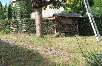 Fachwerkhaus mit Garten nah an Stadt und Natur - Foto 14