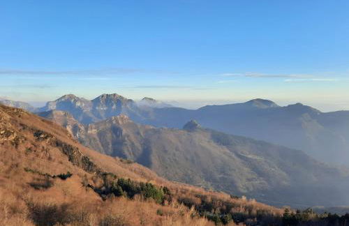 B&B Levigliani - Foto 43