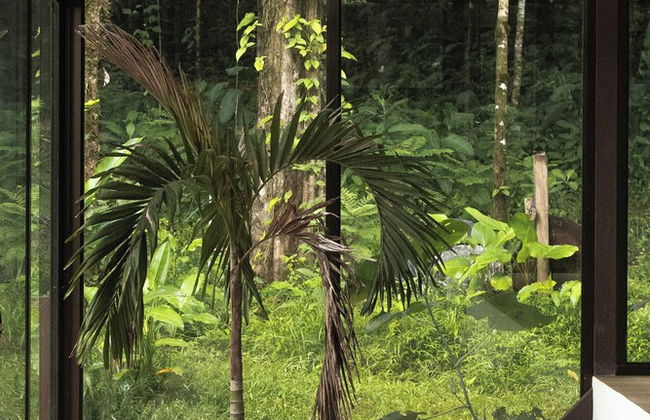 Maze Lodge - Photo 28