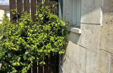 TI ST BARTH - Maison cosy - Dispo dès le 01 mars - Foto 13