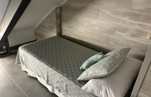 Biznaga Nevada - Foto 14