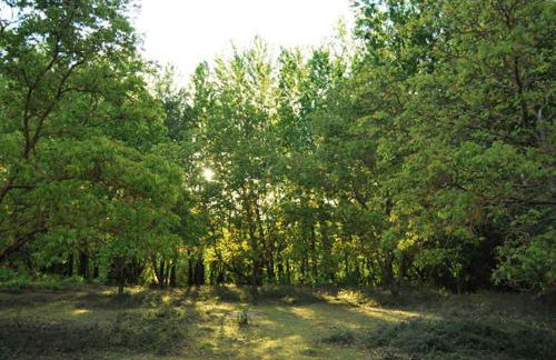 Casas Rurales Camino del Castaño - Foto 30