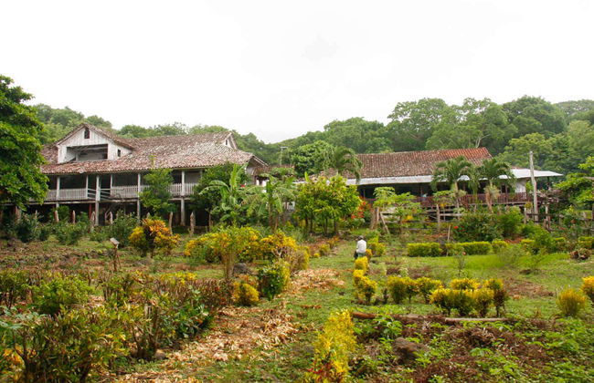 Excursion à l'île d'Ometepe - Photo 7