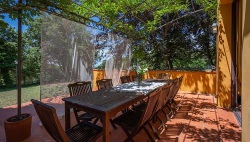 Tenuta De Paoli - Foto 5, Garden