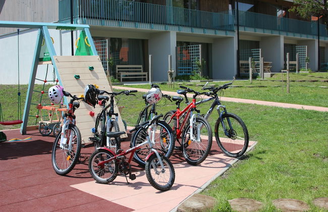 Apartments Ceresnovy Sad - Foto 43