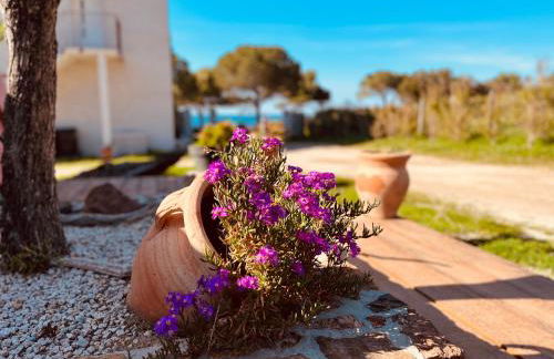 Résidence Casa Toga - Foto 75