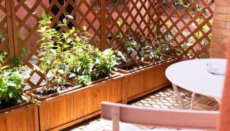 Villa Rosa Sorrento - Foto 4