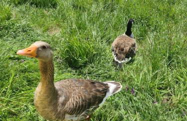 The Seaflower - With Lake Views - Foto 28