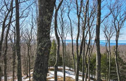 Arrowhead Summit - Foto 50