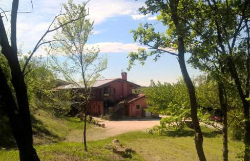 Bosco Romagno - Foto 13