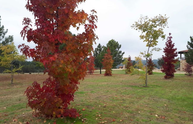 Sakura Vera - Foto 56