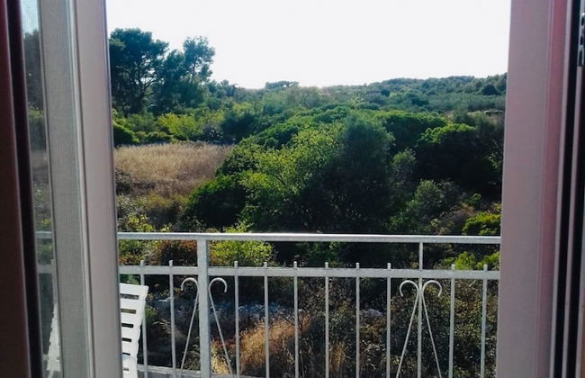 Nick - With Barbecue - A1 - Foto 7