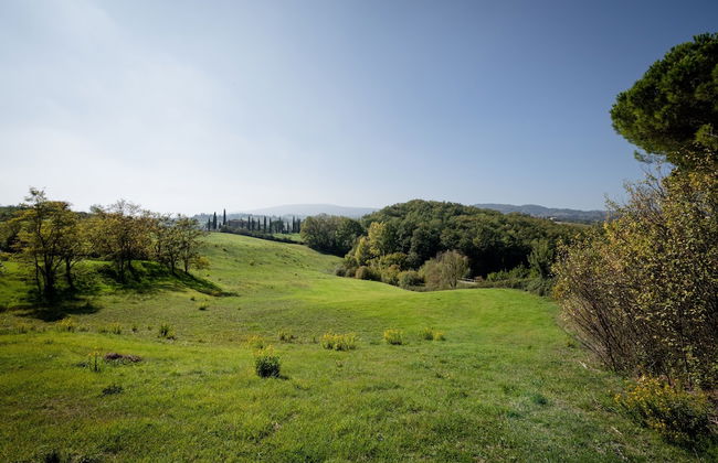 Fattoria Sant'Andrea - Photo 62