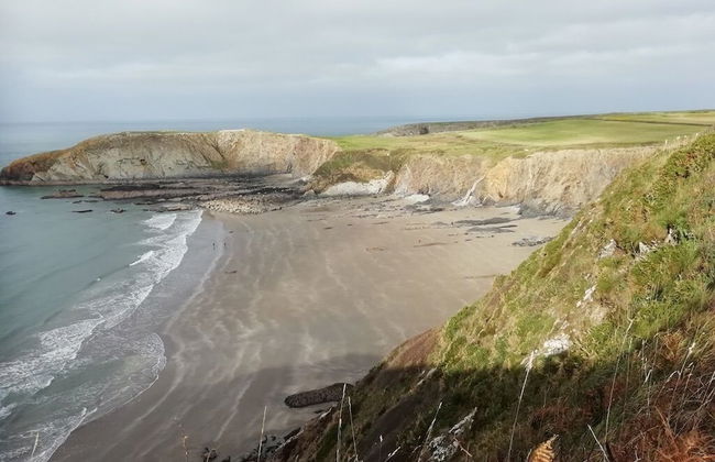 Nuthatch Lodge is set in 24 Acres of Wood, Parkland Near the Village of Cenarth - Photo 17