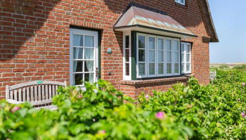 Hüs Waasluuper - Lachmöwe - Foto 2