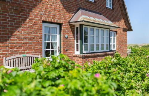 Hüs Waasluuper - Lachmöwe - Photo 2