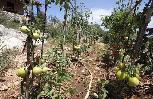 Anemos Studio - Foto 36