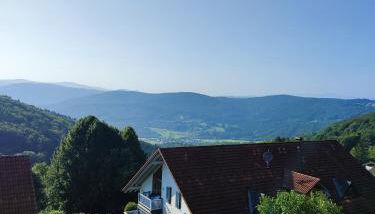 Ferienwohnung 37 Sonnenwald - Photo 4