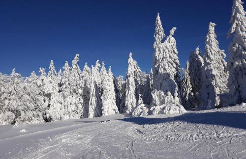 Apartment Almberg - Foto 40