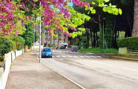 Villa Daria - soggiorno e servizio spiaggia - Foto 26