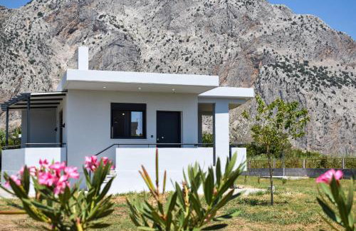 Alexandra's Place - Photo 35